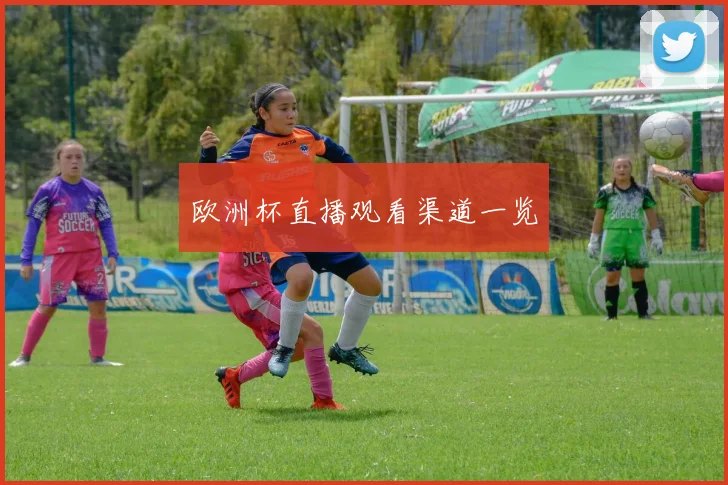 欧洲杯直播观看渠道一览