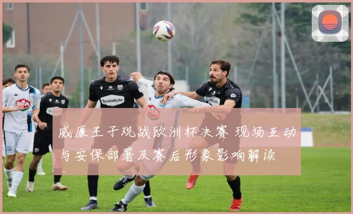 威廉王子观战欧洲杯决赛 现场互动与安保部署及赛后形象影响解读